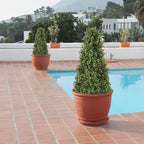 3ft Artificial Boxwood Topiary Trees (Set of 2) - UV Resistant Faux Plants Outdoor, Realistic 36" Fake Cone Bushes and Shrubs for Front Porch, Planter, Patio, Evergreen