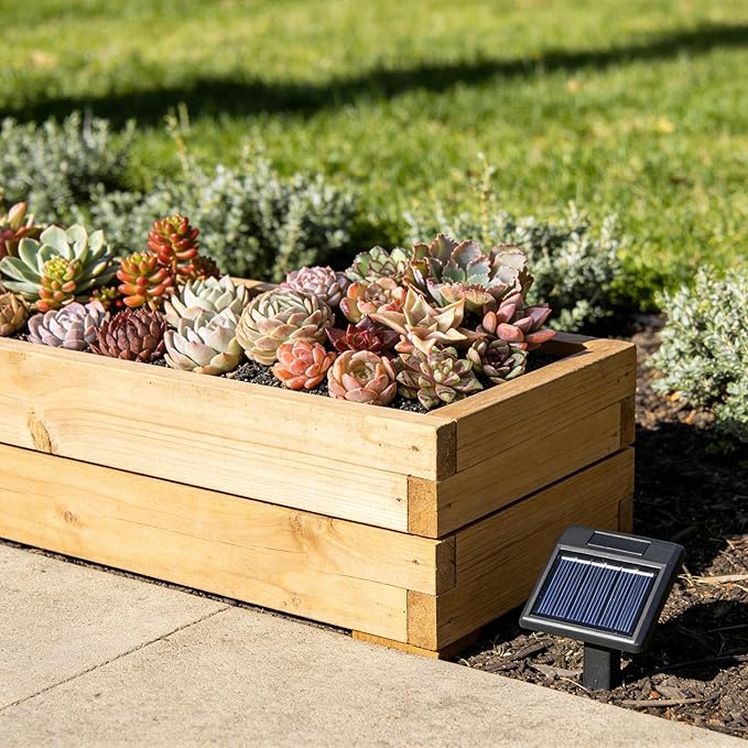 12 Pack Succulents Plants Live, Assorted Mini Succulents Bundle, Easy Care Bare Root Succulent Plants for Indoor Outdoor Decor, Home Office Desk, Terrarium DIY, Gift for Plant Lovers
