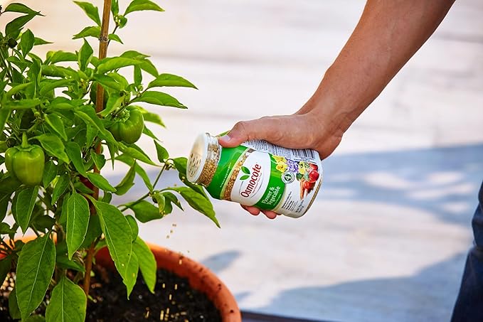 Osmocote Smart-Release Plant Food Flower & Vegetable - Continuous Release Plant Fertilizer for Vegetables and More, 1 lb.
