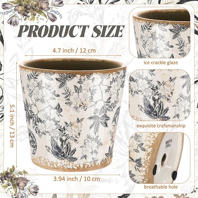 Beeveer Farmhouse Ceramic Planter 5.5 Inch Large Plants Pot Crack Beige Gray Flowers Plant Pots with Drainage Hole Indoor Plants Kitchen Rustic Antique Decor Gift