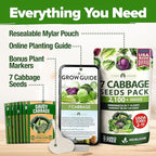 HOME GROWN Cabbage Seeds 7 Variety Mix 2000+ Heirloom Non-GMO, High Germination, Bok Choy, Red & Green Acre, Savoy, Napa Michihili, Copenhagen Market, Jersey Wakefield, Cold Hardy