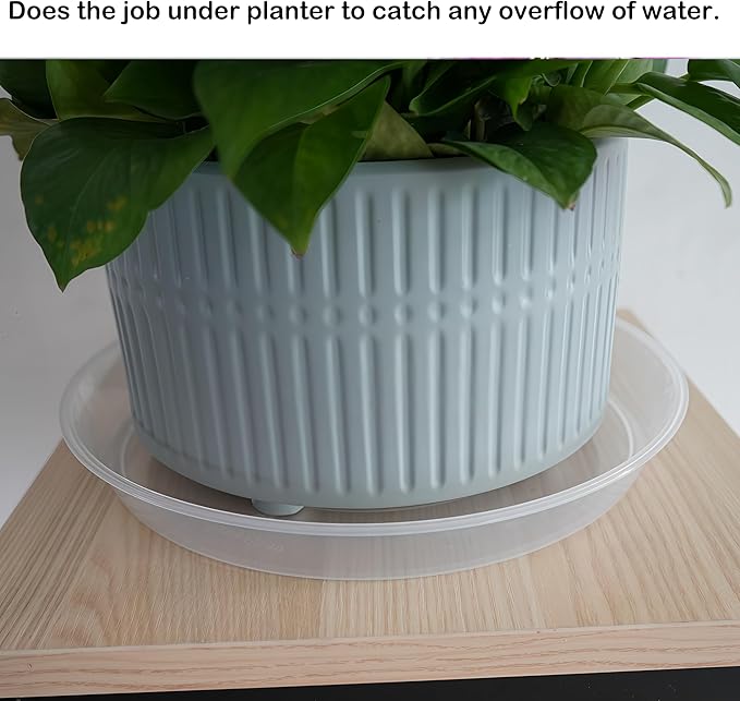 LWALRS Plant Saucer Tray 6 inch, 6 Pack Plastic Plant Saucers for Indoors Outdoor, Heavy Duty Drainage Drip Water Trays for Planter Pots Flower, Saucers for Potted Plants (6", Clear)