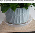 LWALRS Plant Saucer Tray 6 inch, 6 Pack Plastic Plant Saucers for Indoors Outdoor, Heavy Duty Drainage Drip Water Trays for Planter Pots Flower, Saucers for Potted Plants (6", Clear)