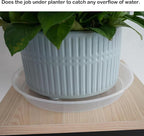 LWALRS Plant Saucer Tray 12 inch, 6 Pack Plastic Plant Trays Saucers for Indoors Outdoor, Heavy Duty Drainage Drip Water Trays for Planter Pots Flower, Round Pebble Tray, Pots Base (12", Clear)