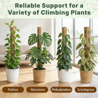 4 Pack 16" Moss Pole Monstera Plant Support - Stackable up to 48" - Plant Stakes for Indoor Climbing Plants Potted - Tall Coco Coir Pole Sticks & Accessories for Monstera, Pothos & Philodendron