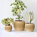 Plant Pots, Modern 3D Printed Honeycomb Planters for Indoor Plants, 4.7/6/8 Inch Wood Decorative Flower Pot for Office Desktop, Bookshelf & Home Decor, Lightweight & Durable