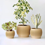 Plant Pots, Modern 3D Printed Honeycomb Planters for Indoor Plants, 4.7/6/8 Inch Wood Decorative Flower Pot for Office Desktop, Bookshelf & Home Decor, Lightweight & Durable