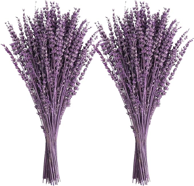 Uieke Dried Lavender Flowers Bundles, 16" Dried Purple Preserved Lavender Stems Bouquet for Shower Weeding Home Fragrance Vase Crafts Decor, 100g(3.52oz)