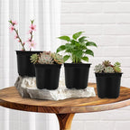 Augshy 110 Pcs 5 Inch Black Plastic Plant Pots, Nursery Pots for Succulents Seedlings, Small Plant Pots with Drainage Holes, Plastic Garden Pots for Home Gardening