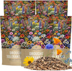 Drought Tolerant Wildflowers Mix – Bulk 5 Pounds – Over 600,000 Open Pollinated Non-GMO Seeds – 21 Different Dryland Species