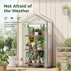 Bamworld 23 x 17 x 54-Inch Mini Greenhouses with Wheels Portable Green House with PE Cover Sturdy Eucalyptus Wood Frame Small Greenhouse for Winter Plant Frost Protection with Sturdy Eucalyptus Frame