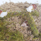 Snail Terrarium Accessory Kit 3PCS, Includes Layer Moisture-Retaining Substrate, Top Layer Moisture-Retaining Substrate, Climbing Toy