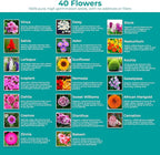 2200+ Mixed Flower Combo Seed Pack for Your Home Garden, 40+ Variety Flower, Including Petunia, Zinnia, Sunflower and More, Attracts Pollinators, Non- GMO and Heirloom