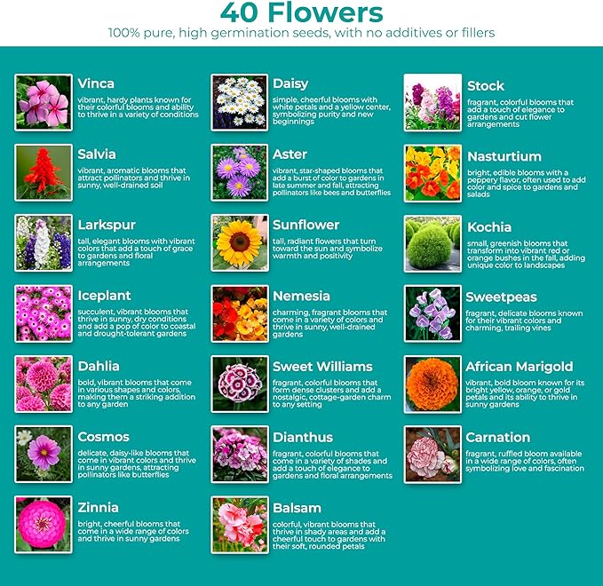 2200+ Mixed Flower Combo Seed Pack for Your Home Garden, 40+ Variety Flower, Including Petunia, Zinnia, Sunflower and More, Attracts Pollinators, Non- GMO and Heirloom