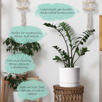 Phoenix Vine 8 Inch Planter Pot with Drainage Hole & Saucer, Deep Water Catch Tray, Straight Cylindrical Round Pot for Plants, Matte White, Pack of 2, 23-B-T-2