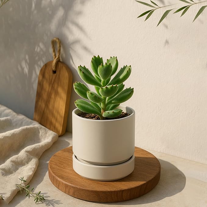 Phoenix Vine 4 Inch Planter Pot with Drainage Hole & Saucer, Deep Water Catch Tray, Straight Cylindrical Round Pot for Plants, Oatmeal, Pack of 1, 23-E-R-1