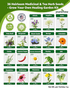 Medicinal Herb Seeds Variety Pack - 36 Heirloom Non-GMO Herbal Tea Garden Seeds: Chamomile, Lavender, Echinacea, Yarrow, Mugwort for Planting Indoor & Outdoor, Apothecary & Homesteading Supplies