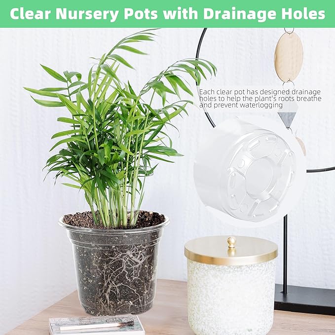 LOCONHA Small Plastic Plant Nursery Pot/Pots (36 Packs 5/4/3.5 Inch Plant Pot and 40 Plant Labels) Seedlings Flower Plant Container (Transparent) Seed Starting Pots Indoor Outdoor