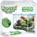 Toys By Nature Bonsai Moss & Rock Garden, Mini Wave Terrarium Kit with Real Plant, Beginner-Friendly Terrariums and Live Indoor Plants Decor