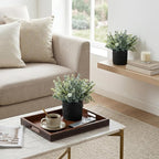 MyGift Artificial Eucalyptus Plant in Modern Gray Concrete Pots with Geometric Embossed Pattern (2, Black)