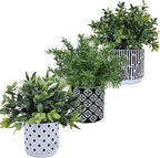 Winlyn 3-Pack Artificial Potted Plants - Faux Eucalyptus, Rosemary, Boxwood Greenery in Small Black & White Geometric Concrete Pots -Desk, Table, Shelf, Windowsill Decor for Indoor Outdoor Home Office
