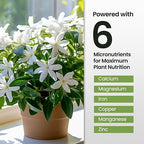 32oz Jasmine Fertilizer for Jasmine Plant Live - Makes 192 Gallons of Indoor Plant Food for Houseplants, Nutrient-Rich Houseplant Fertilizer - Ideal Outdoor & Houseplant Food for Vibrant Growth