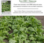 Perpetual Spinach Seeds for Planting, 300+ Heirloom Seeds Per Packet, (Isla's Garden Seeds), Non GMO Seeds, Botanical Name: Beta vulgaris subsp. vulgaris, Great Home Garden Gift