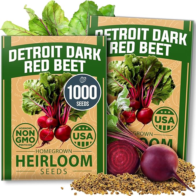 HOME GROWN Carrot & Beet Seeds Bundle – 6000 Tendersweet Carrot + 1000 Detroit Dark Red Beet Seeds – 2 Pack Each – Non-GMO, Heirloom Vegetable Seeds for Outdoor Planting, High Germination