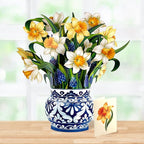 Freshcut Paper Pop Up Cards, English Daffodils, 12 Inch Life Sized Forever Flower Bouquet 3D Popup Greeting Card, Birthday Cards, Get Well Gifts, Blank Notecard & Envelope