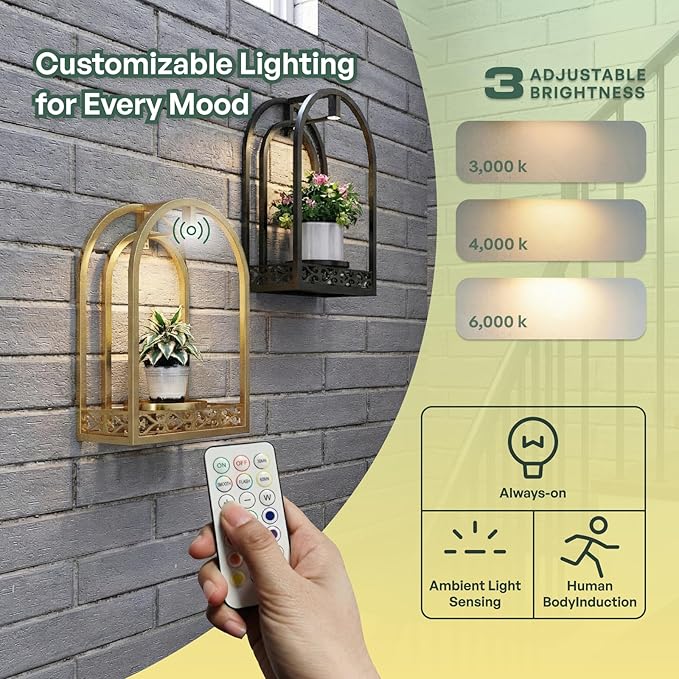 LED Grow Light Wall Hanging Planters with USB Power, Remote Control, Modern Decor for Indoor/Outdoor Plants, Living Room, Garden, Patio 2 Pack Black