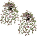 2 Pack Fake Hanging Plants for Shelf in Back Pot, Small Artificial Hanging Ivy Vine Plants Indoor Fake Potted Greenery Plant for Room Bathroom Kitchen Wall End Table Mimi Faux Nerve Plant Set Decor