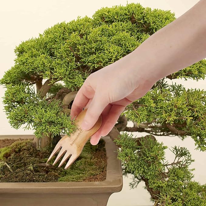 BambooMN Bonsai Tree Pruning Trimming Starter Tool Kit - Leaf Trimmers, and Bamboo Rake - 30 Sets