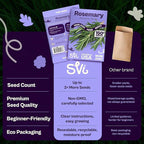 SVI 150 Rosemary Seeds for Planting (Rosmarinus officinalis) – Aromatic Herbs, Harvest for Fresh or Dried Rosemary Leaves – Heirloom Herb Seeds for Outdoor & Indoor Garden, Containers