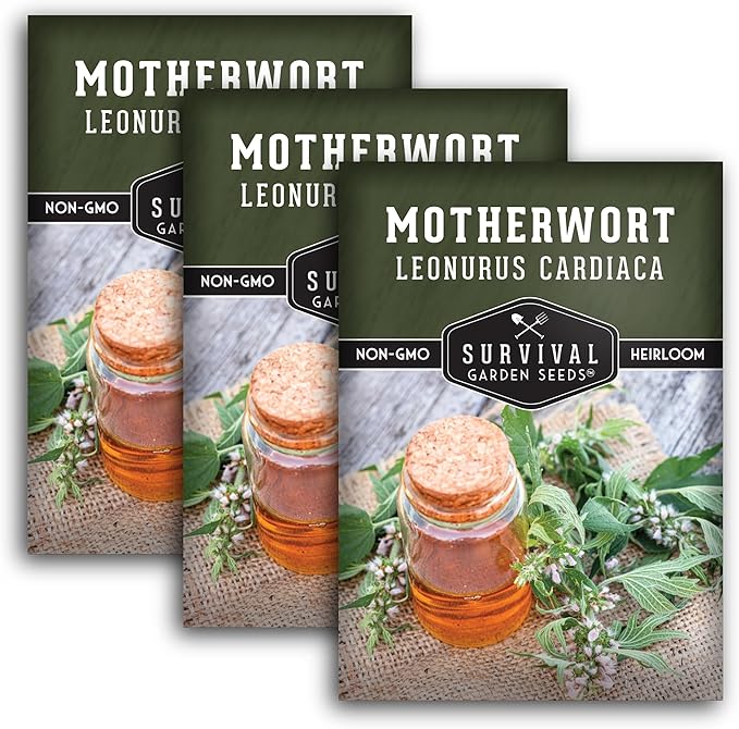 Motherwort Seeds for Planting - Plant & Grow Lion's Tail Medicinal Herbs in Your Home Herb Garden - Non-GMO Heirloom Variety - Survival Garden Seeds