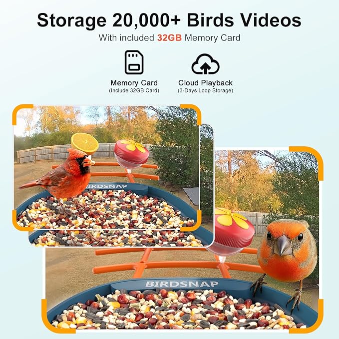 birdsnap® PAV-Bird Feeder with Camera,2K HD with 32GB Card, AI Identify Smart Bird House Cam Solar Panel,Live Stream,Motion Detection,Auto Record Video for Backyard Outdoors,Ideal Gift for Bird Lover