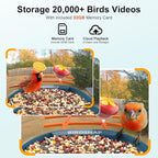 birdsnap® PAV-Bird Feeder with Camera,2K HD with 32GB Card, AI Identify Smart Bird House Cam Solar Panel,Live Stream,Motion Detection,Auto Record Video for Backyard Outdoors,Ideal Gift for Bird Lover