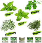 Meekear 5 Herb Indoor Starter Kit, Complete Planting Set for Kitchen Herb Garden DIY & Gift