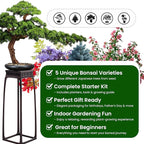 Bonsai Tree Kit for Beginners - 5 Unique Japanese Bonsai Seeds, DIY Indoor Gardening Crafts for Adults | Valentine's, Mother's Day & Birthday Gifts for Women and Men | Complete Starter Kit with Tools