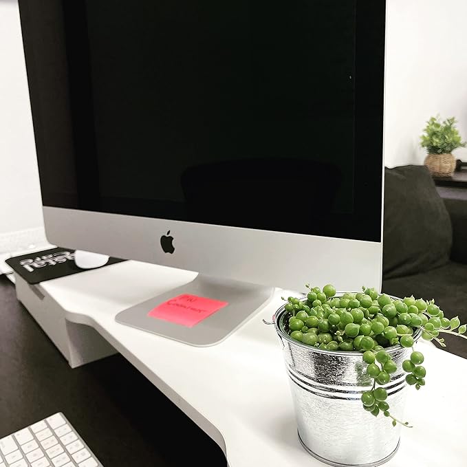 Succulent Plant in Gift Box String of Pearls (Senecio Rowleyanus) - Live Trailing Plants Fully Rooted & in Bloom - Rare House Plant for Home Office Wedding Hanging Decoration - 4" Pot with Soil Mix