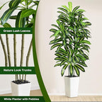 Artificial Dracaena Tree - 6FT Tall Fake Plants with White Tall Planter - Artificial Plants Indoor Floor Plant in Pot - Large Tropical Fake Yucca Potted Tree for Home Office Living Room Decor