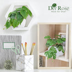 Der Rose 4Pcs Small Fake Plants Artificial Mini Faux Plants for Bathroom Office Desk Shelf Table Accessories Decor Indoor