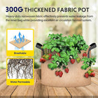 iPower Plant Grow Bag 3 Gallon 6-Pack Heavy Duty Fabric Pots, 300g Thick Nonwoven Fabric Containers Aeration with Nylon Handles, for Planting Vegetables, Fruits, Flowers,Tan 2024 Version