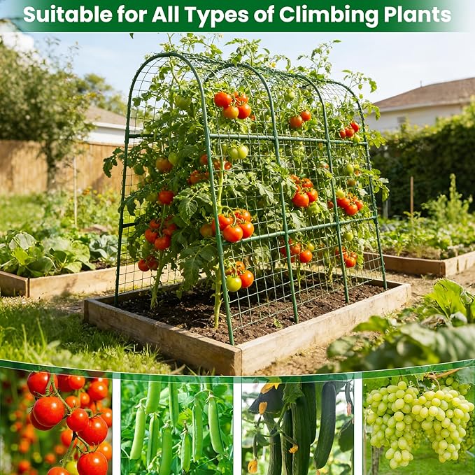 Cucumber Trellis for Raised Bed 32" L x 48" H, U-Shape Garden Trellis for Climbing Plants Outdoor, Metal Arch Trellis for Vegetables, Plant Support for Tomato Pea Zucchini Grape Flowers