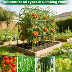 Cucumber Trellis for Raised Bed 64" L x 48" H, U-Shape Garden Trellis for Climbing Plants Outdoor, Metal Arch Trellis for Vegetables, Plant Support for Tomato Pea Zucchini Grape Flowers