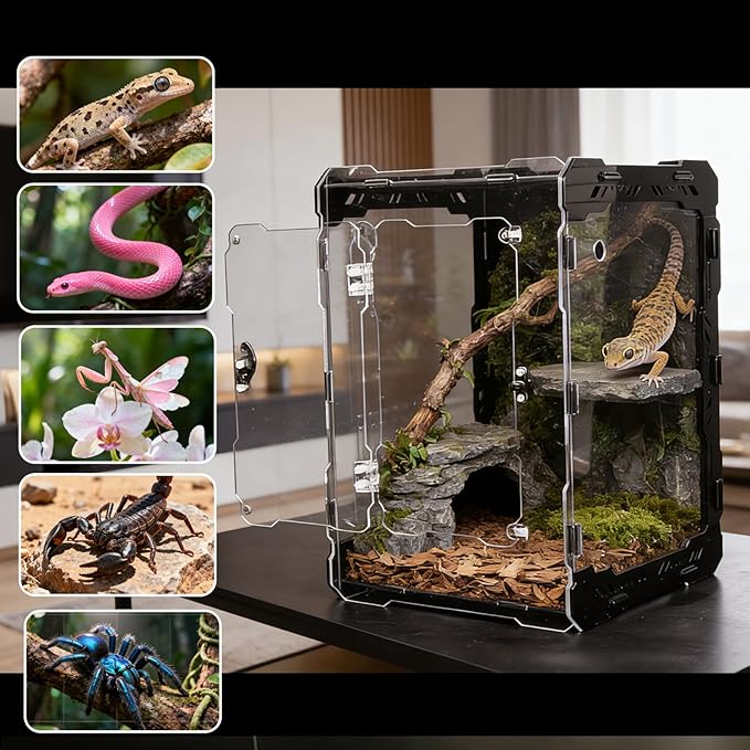 Acrylic Terrarium 14x10x10 Inch – Front Opening Reptile Enclosure with Magnetic Feeder – Escape-Proof Habitat for Arboreal Tarantulas, Scorpions & Geckos