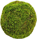 SuperMoss (21663) Moss Ball, Fresh Green, 8"