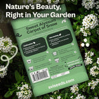 SVI 3000 Carpet of Snow Sweet Alyssum Seeds (Lobularia maritima) – White Sweet Alyssum Seed Packets Bulk – Ground Cover Seed Pack, Flower Seeds for Outside, Containers, Flower Beds