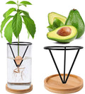 Bylion Avocado Tree Growing Kits, Avocado Growing Vase Wooden Base Avocado Seed Starter Vase Glass Plant Pot Easy Seed Sprout Starter Gift for Women Gardening Lovers Home Office Table Decoration