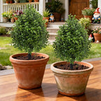Bdor 22" Artificial Boxwood Topiary Ball Trees, Outdoor Artificial Plant Set of 2 with Ground Stakes, UV Resistant Simulated Evergreen Fake Shrub for Indoor/Outdoor Lawns, Garden Decor