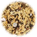 Gardenera Premium PHALAENOPSIS Imperial Orchid Potting Mix - Hand Mixed in Small Batches | Great for Phalaenopsis of All Kinds - 3 Quart Bag